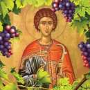 Православната църква почита Св. Трифон Зарезан - пазител на виното и лозята