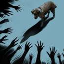 Киноафиш: Добро момче