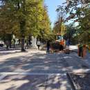 Подкастрят дървета в Мездра, приоритет са детските площадки