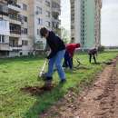 Ученици и граждани засадиха над 600 дръвчета във Враца