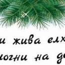 Земеделското министерство отново с кампания „Купи жива елхичка, помогни на дете“