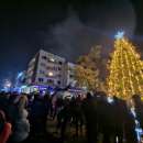 Светна коледната елха в Берковица