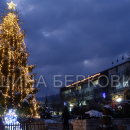 Грейна коледната елха в Берковица