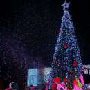 Мездра посреща коледно-новогодишните празници със „Зимна приказка с добри герои“