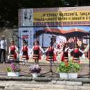 Село Боровци бе домакин на фолклорен фестивал