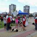 Породисти кучета ще се борят за Купата на кмета на Община Враца