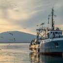 Изплатени са близо 2 млн. лв. по Програмата за морско дело и рибарство 2014-2020