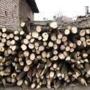 Полицейски и горски служители иззеха 20 кубика дърва за огрев във видинско