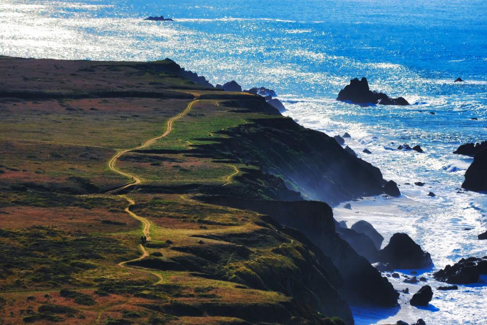 Pacific Coast Highway