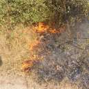 Мъж пострада при опит да гаси пожар във видинско село