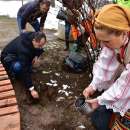 Със засаждане на лози поставиха началото на Пролетните празници във Враца