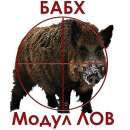 Само един случай на Африканска чума при дивите свине от началото на ловния сезон