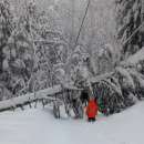 Много населени места в община Берковица останаха без ток заради снеговалежа