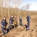 Лесовъди и пожарникари залесяваха с нови дръвчета в Мездра