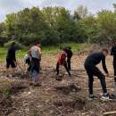 Ученици от мездренска гимназия засадиха 100 дръвчета