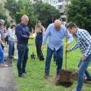 Доброволци засадиха дръвчета в парк "Владикина бахча" във Видин