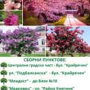 Кампанията "Зелена Враца" продължава