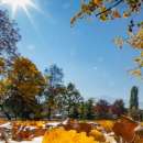 Пролет през есента - четвъртък носи слънце и до 22 градуса